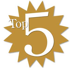 TOP 5 KITCHEN ACCESSORIES TO HELP WITH THE CHRISTMAS DINNER!